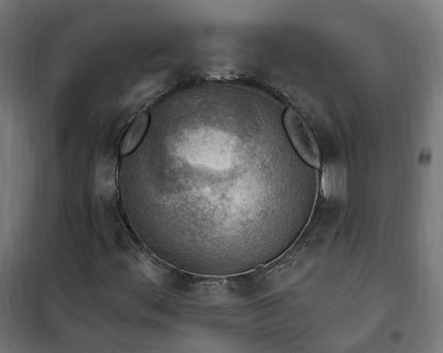 X0000100501444200806201704