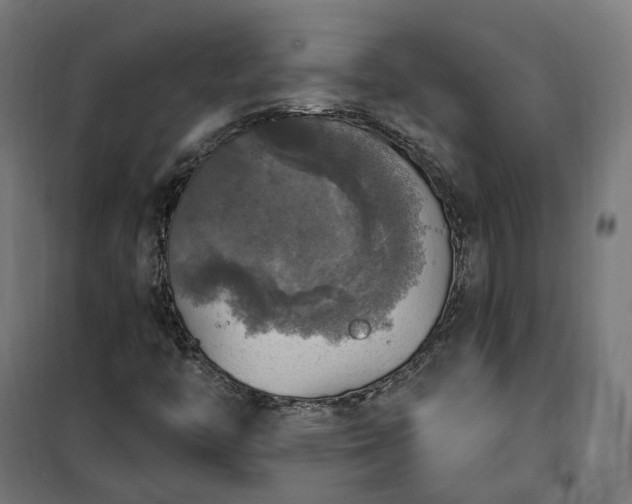 X0000100501446200806201704