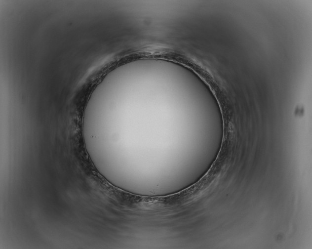 X0000100501447200806201704