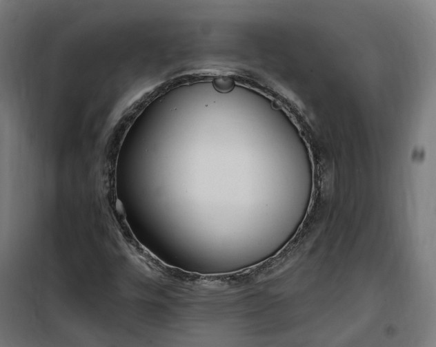 X0000100501448200806201704