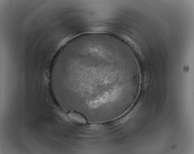 X0000100501449200806201704