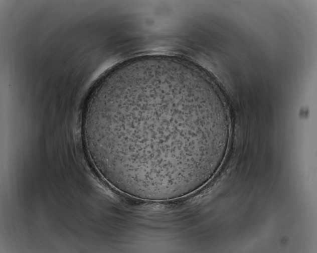 X0000100501450200806201704