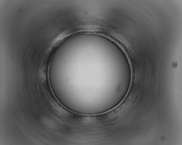 X0000100501451200806201704