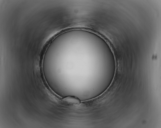 X0000100501452200806201704