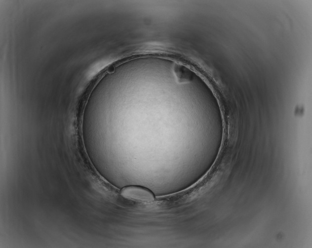 X0000100501453200806201704