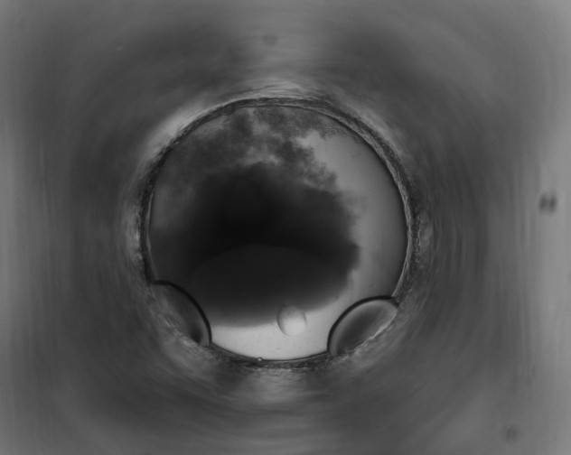 X0000100501455200806201704