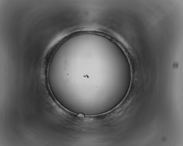 X0000100501456200806201704