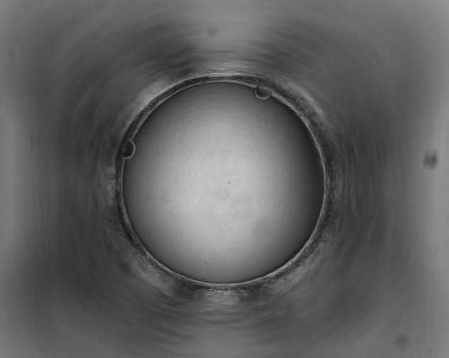 X0000100501457200806201704