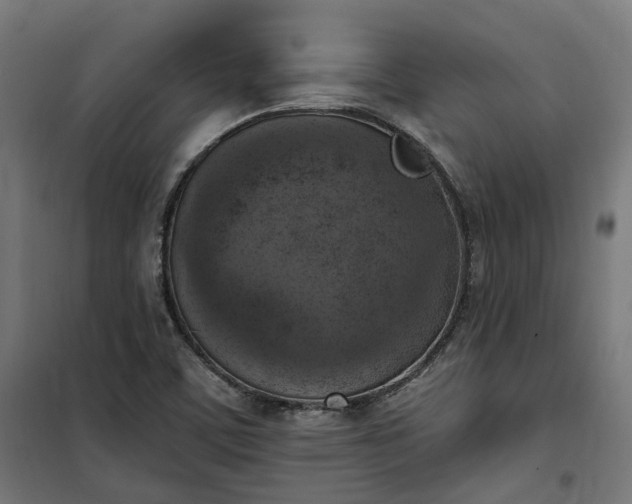 X0000100501459200806201704