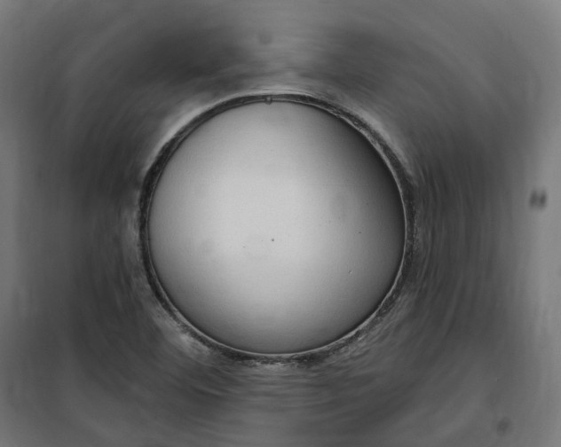 X0000100501460200806201704