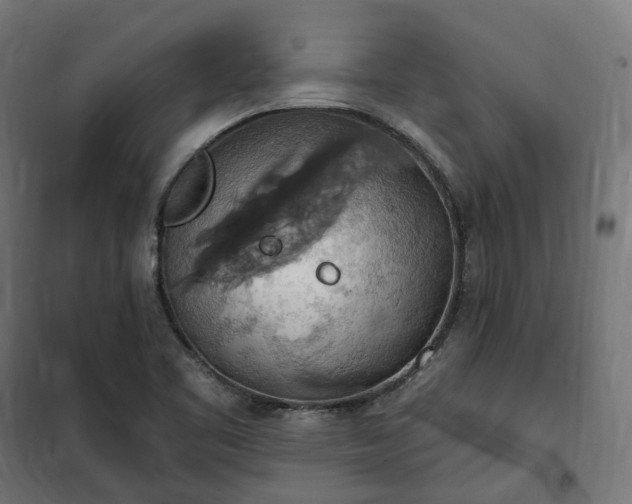 X0000100501461200806201704