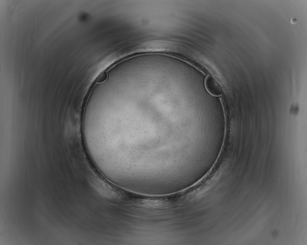 X0000100501465200806201704