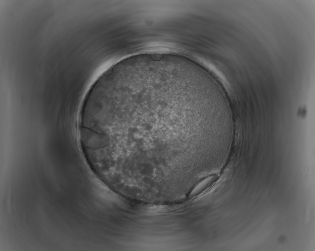 X0000100501467200806201704