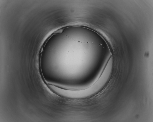 X0000100501468200806201704