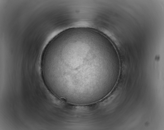 X0000100501469200806201704