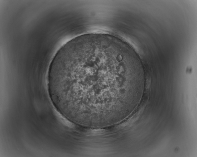 X0000100501471200806201704