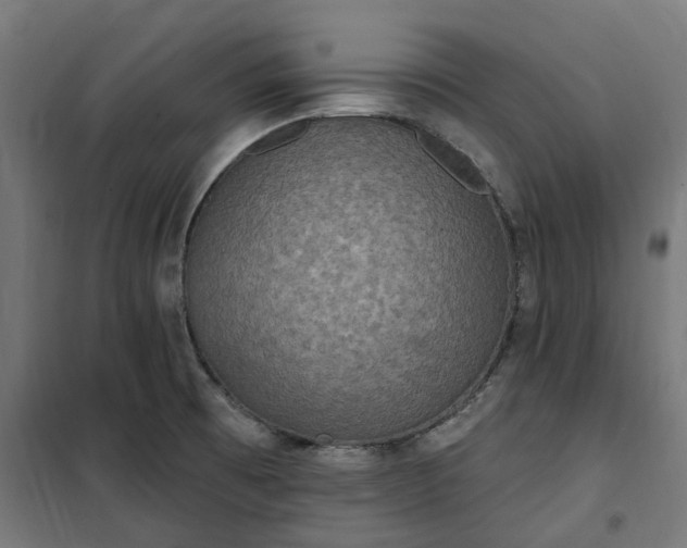 X0000100501473200806201704