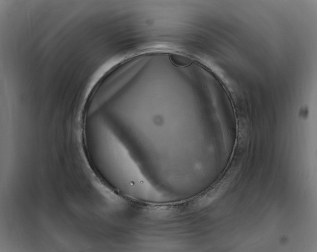 X0000100501474200806201704