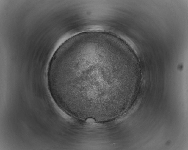 X0000100501475200806201704