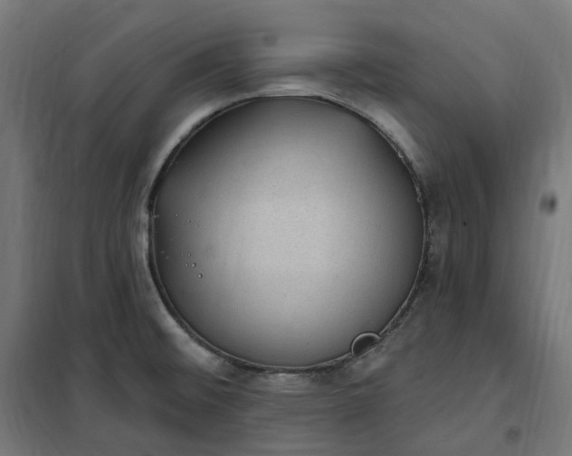 X0000100501476200806201704