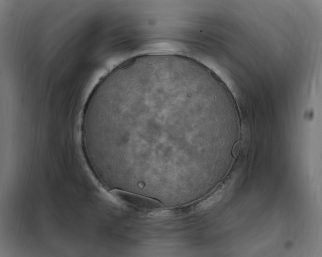 X0000100501477200806201704