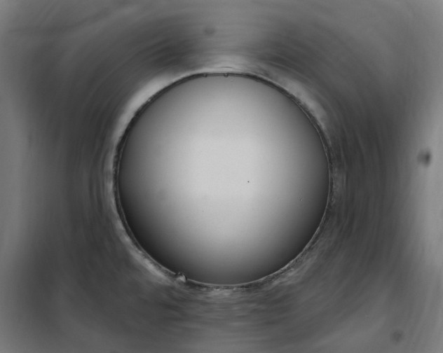 X0000100501480200806201704