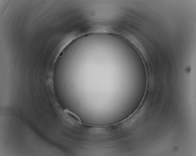 X0000100501481200806201704