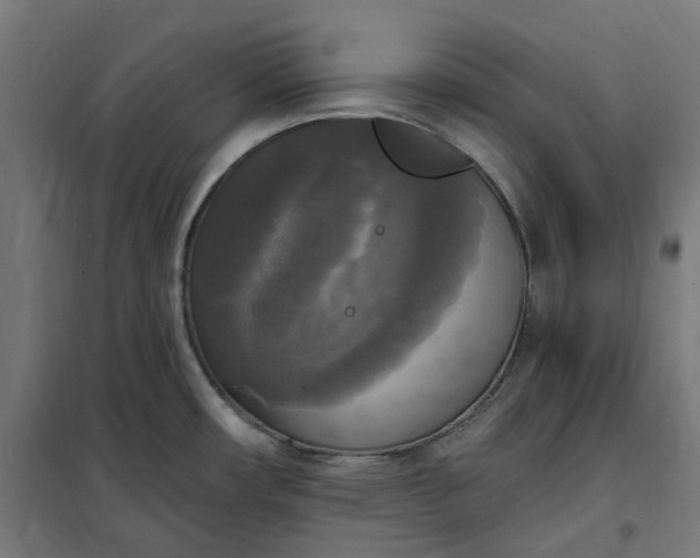 X0000100501482200806201704