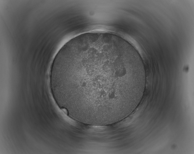 X0000100501483200806201704