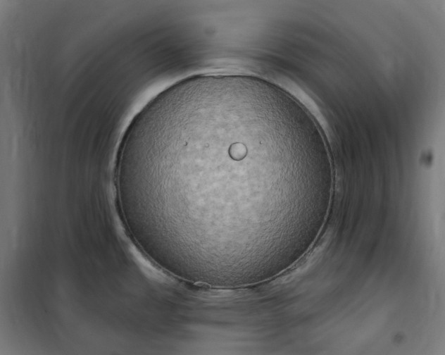 X0000100501485200806201704