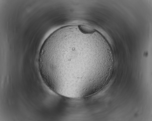 X0000100501486200806201704