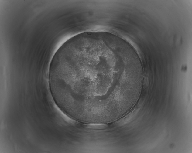 X0000100501487200806201704