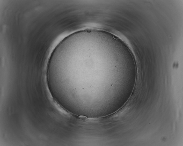 X0000100501488200806201704