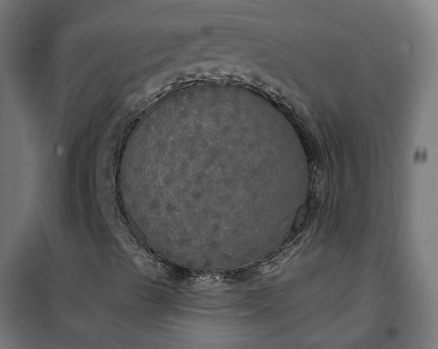 X0000100501489200806201703