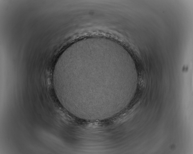 X0000100501490200806201703