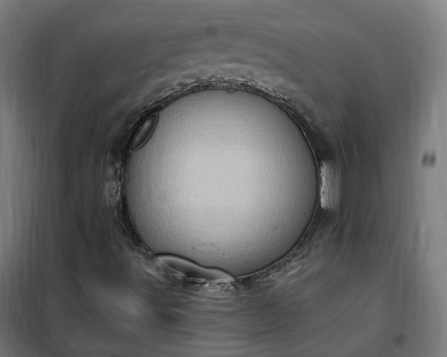 X0000100501491200806201703