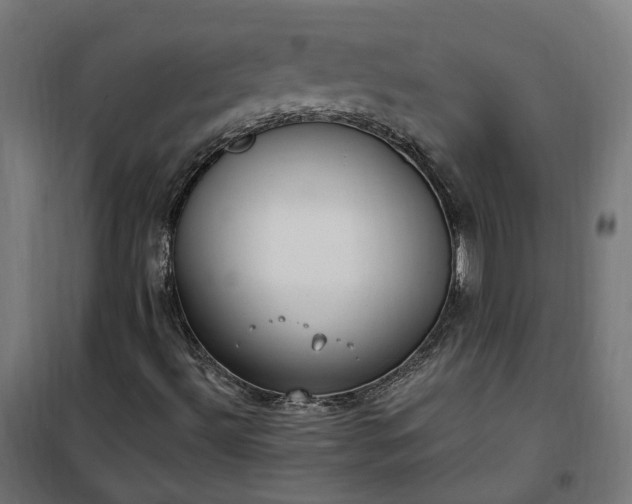 X0000100501492200806201703