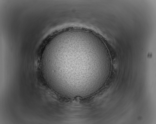 X0000100501495200806201703