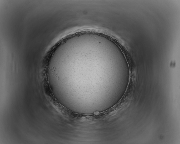 X0000100501496200806201703