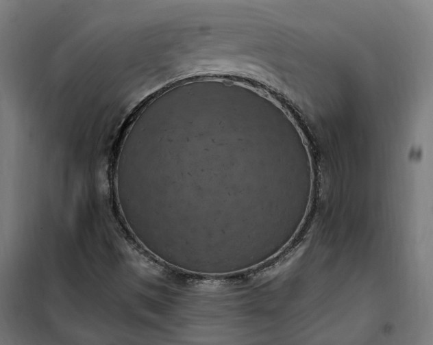 X0000100501497200806201703