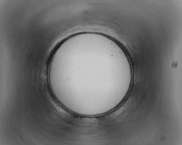 X0000100501498200806201703