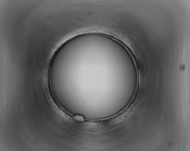 X0000100501500200806201703