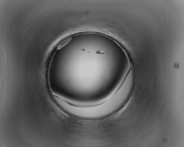 X0000100501502200806201703