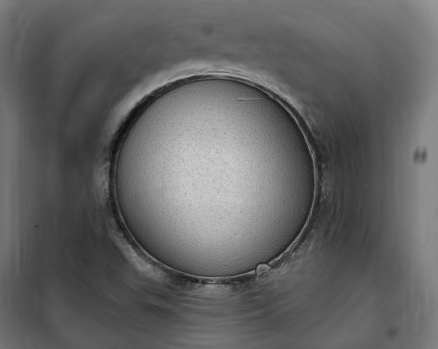 X0000100501503200806201703