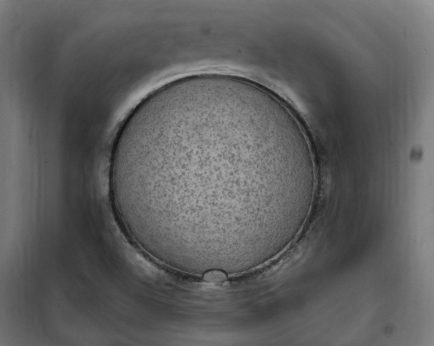 X0000100501504200806201703