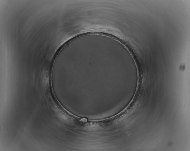 X0000100501505200806201703