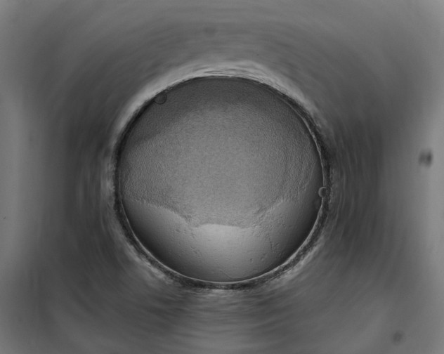 X0000100501506200806201703