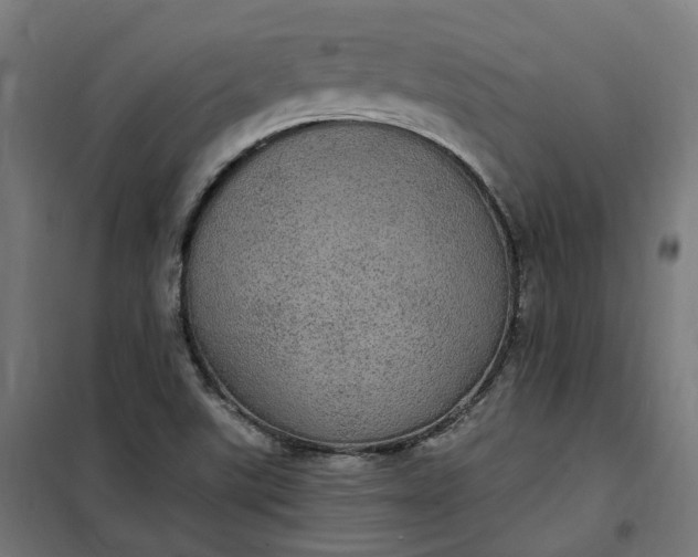 X0000100501507200806201703