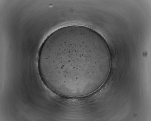 X0000100501508200806201703