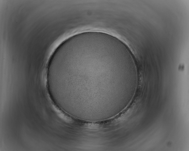 X0000100501511200806201703